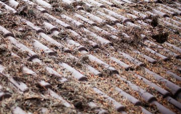 Low Burnham roof cleaning companies