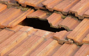 roof repair Low Burnham, Lincolnshire